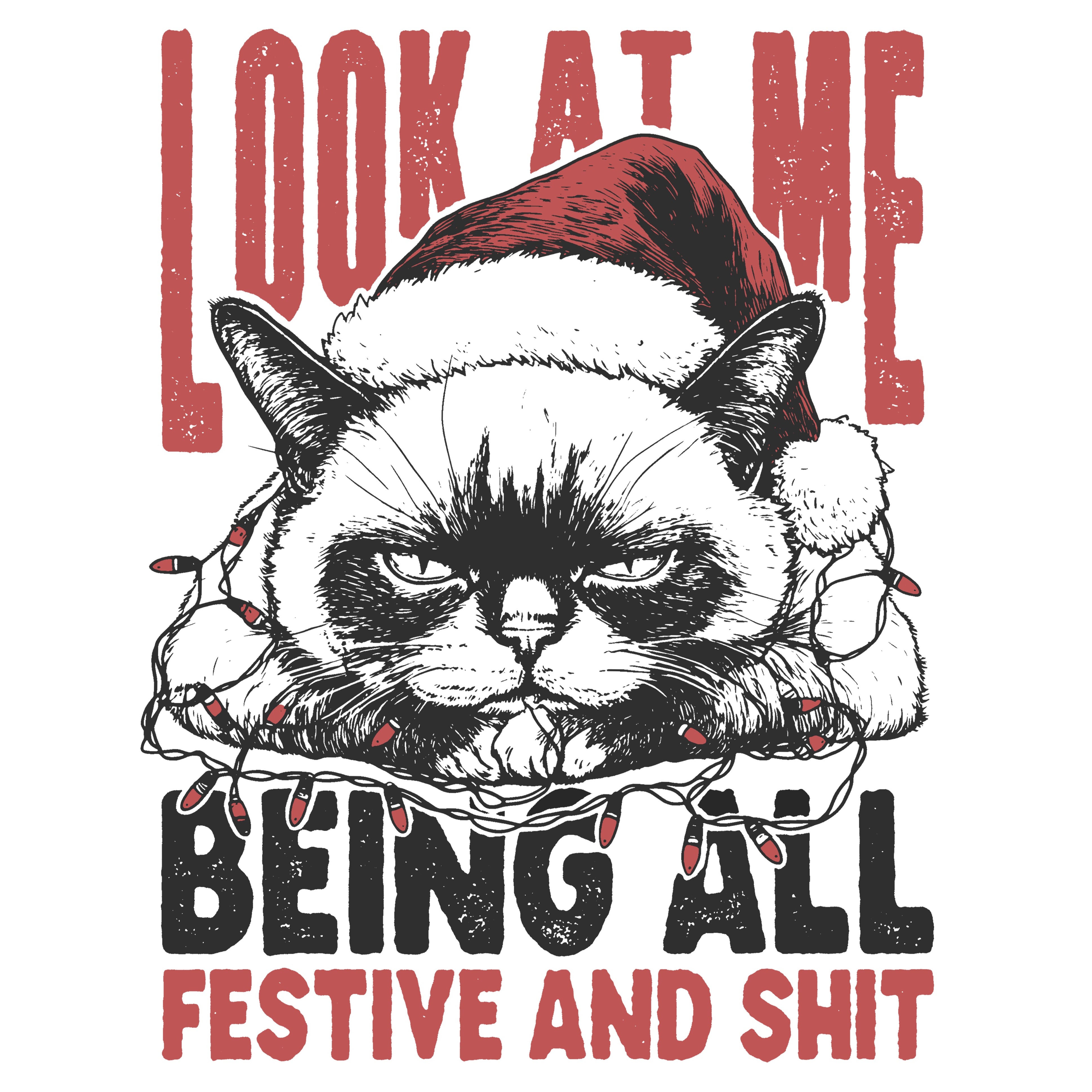 Look at me Being All Festive and Shit Cat PNG